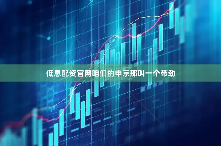 低息配资官网咱们的申京那叫一个带劲