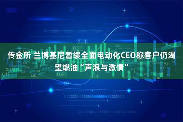 传金所 兰博基尼暂缓全面电动化　CEO称客户仍渴望燃油“声浪与激情”