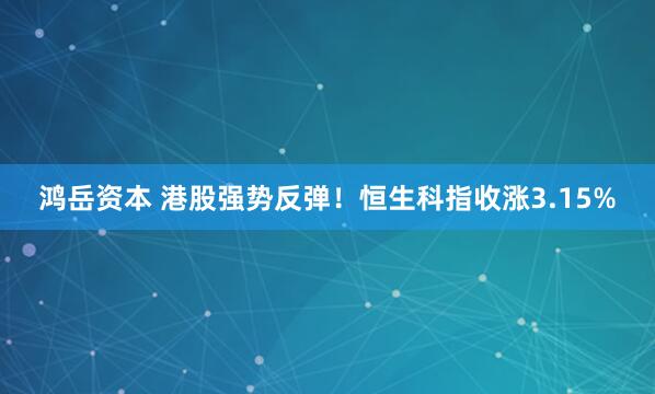 鸿岳资本 港股强势反弹！恒生科指收涨3.15%