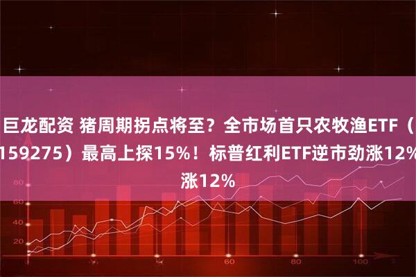 巨龙配资 猪周期拐点将至？全市场首只农牧渔ETF（159275）最高上探15%！标普红利ETF逆市劲涨12%