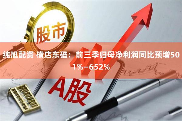 纯旭配资 横店东磁：前三季归母净利润同比预增501%—652%