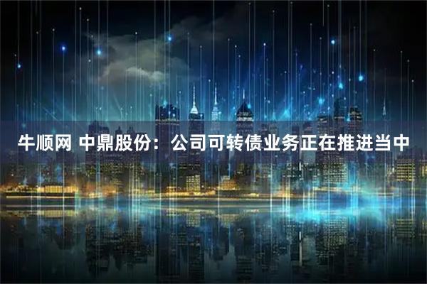 牛顺网 中鼎股份：公司可转债业务正在推进当中