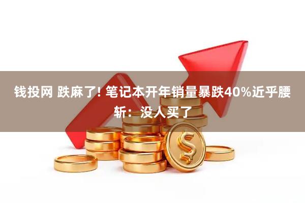 钱投网 跌麻了! 笔记本开年销量暴跌40%近乎腰斩:没人买了