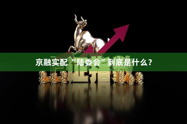 京融实配 “陆委会”到底是什么？