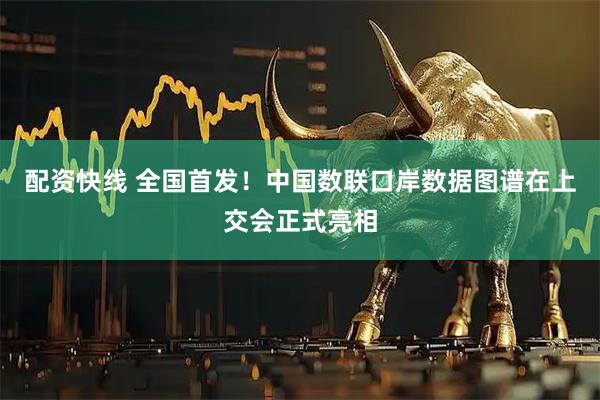 配资快线 全国首发！中国数联口岸数据图谱在上交会正式亮相