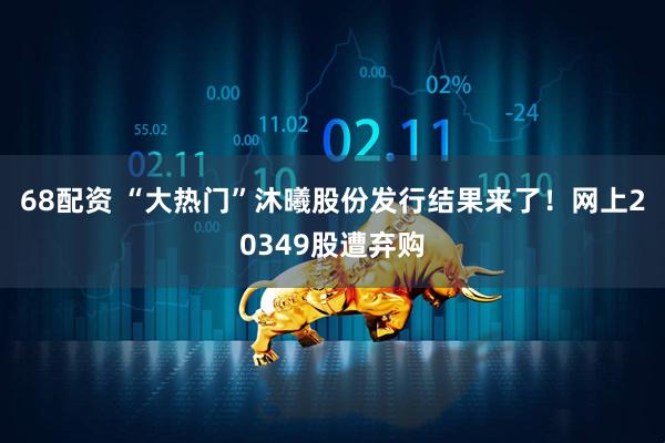 68配资 “大热门”沐曦股份发行结果来了！网上20349股遭弃购